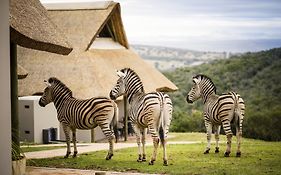 Jbay Zebra Lodge